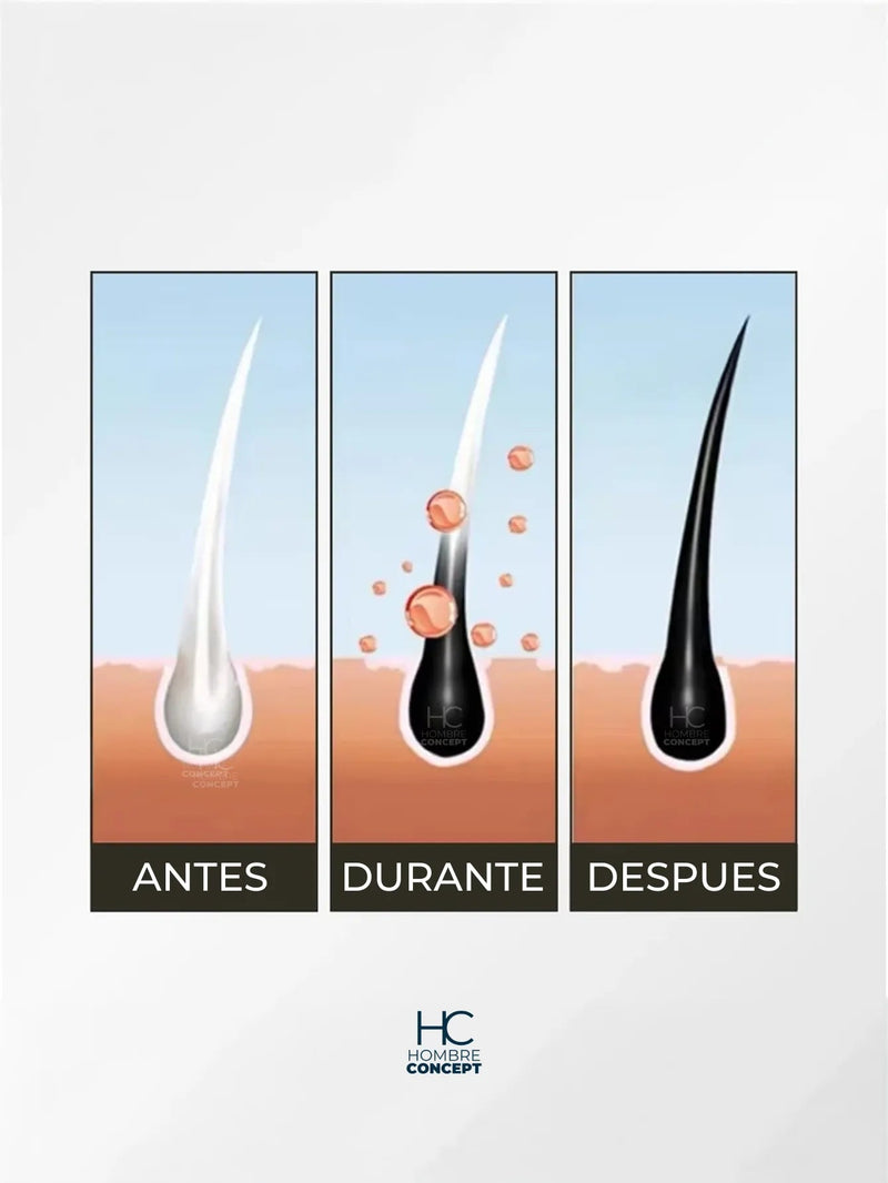 Shampoo Brimless Botánico – Canas Fuera en Segundos